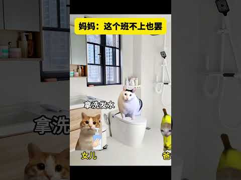 妈妈：这个班不上也罢 有趣 猫meme 猫meme剧场 猫meme小剧场 内容过于真实  故事 貓 猫猫meme小剧场…