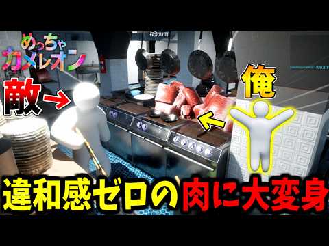 【めっちゃカメレオン】霜降りも完璧に描いて肉に大変身してかくれんぼ サムネイル