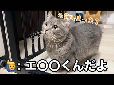 【続報】小さな命の名前が決まりました サムネイル