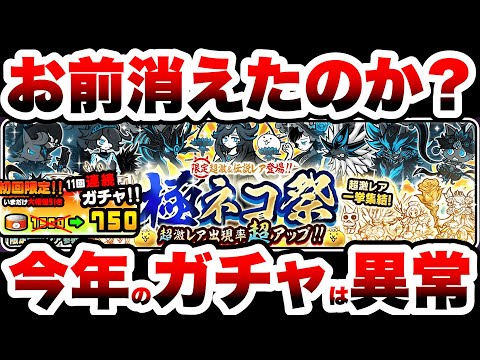 今年のガチャは要注目！極ネコ祭の最新開催情報