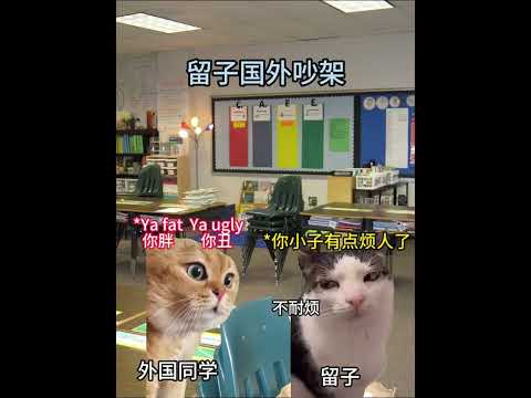 留子：原来老外那么容易破防 猫meme 留子 内容过于真实 猫meme小剧场 サムネイル
