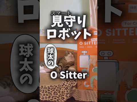 三太が使ってみた！OsitterprHHOLOVE ねこ@hholove_global サムネイル