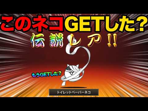 トイレットパーパーネコをもうGETした！？正体不明の謎のキャラクター知ってる？正答率1％のこのネコ誰だクイズが難しすぎ… サムネイル