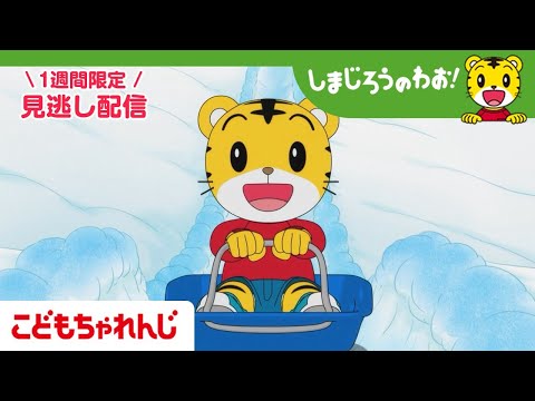 【見逃し配信】テレビ番組「しまじろうのわお！」 2月21日放送 ｜みんなで ゆきあそび｜712【しまじろうチャンネル公… サムネイル
