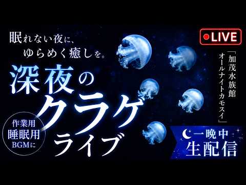 深夜のクラゲライブ｜オールナイトカモスイ　ブルーキャノンボール サムネイル