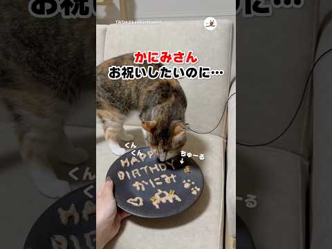 誕生日のお祝いなのに…｜PECO サムネイル