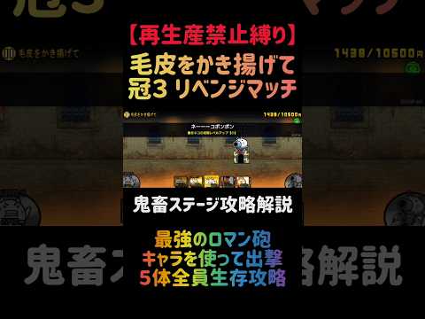 【再生産禁止縛り】シラスがいれば毛皮をかき揚げて 冠３を出撃５体のみで攻略出来る説 にゃんこ大戦争 サムネイル