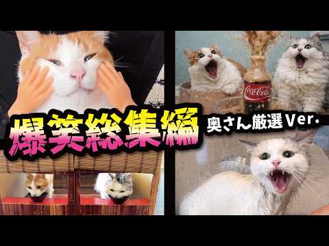 【爆笑】厳選動画イッキ見大満足の４９分!!!おもしろ企画総集編スペシャル〜〜〜!!!!!!! サムネイル