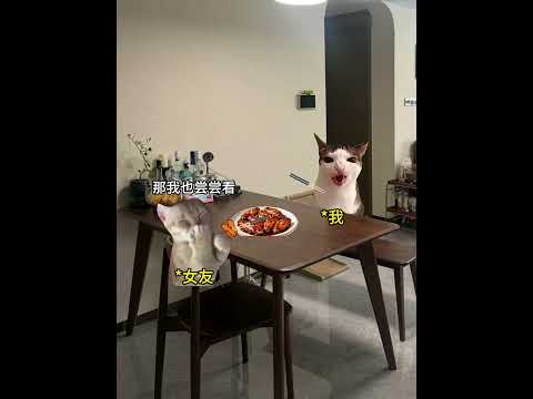 必须全部吃完 有趣 猫meme 猫meme剧场 猫meme小剧场 内容过于真实  故事 貓 猫猫meme小剧场 喵不可言 サムネイル