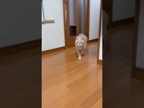 ひのきやで サムネイル
