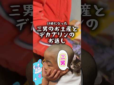 球太が心配してる三男の日常cats 猫のいる暮らし 球太 サムネイル