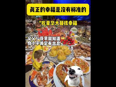 真正的幸福是没有标准的  有趣 猫meme 猫meme剧场 猫meme小剧场 内容过于真实  故事 貓 猫猫meme小… サムネイル