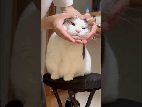 一瞬で抜け毛 サムネイル