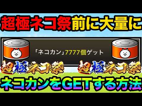 超極ネコ祭前にネコカンを今すぐ無料で大量GETする方法紹介！意外と知られてないネコカンを1000個以上GETする方法知… サムネイル