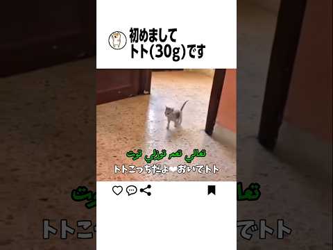 体重だけでも覚えて帰ってください サムネイル