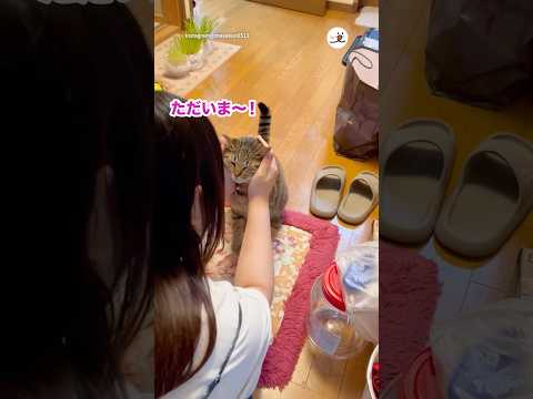 お姉ちゃんが帰省して♡｜PECO サムネイル