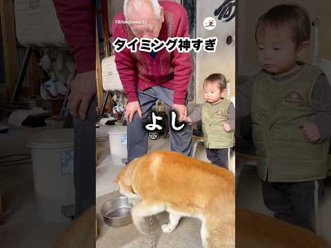 奇跡のタイミング｜PECO サムネイル