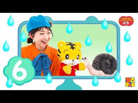 こどもちゃれんじぷちテレビ📺6月号｜26年度ぷち生向け｜【しまじろうチャンネル公式】 サムネイル