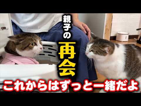 生き別れた母と娘が再会…ずっとの家族になりました