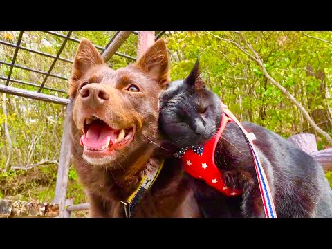 １年ぶりにあの場所に来てみたらすごい事になった