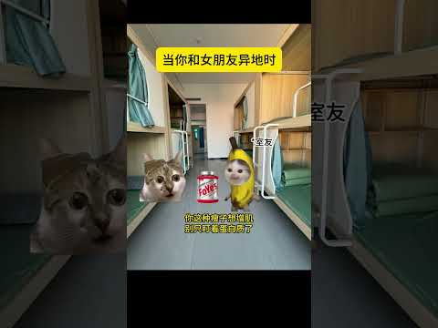 当瘦子还有一个月就要和女友见面时 有趣 猫meme 猫meme剧场 猫meme小剧场 内容过于真实 故事 貓 猫猫m…