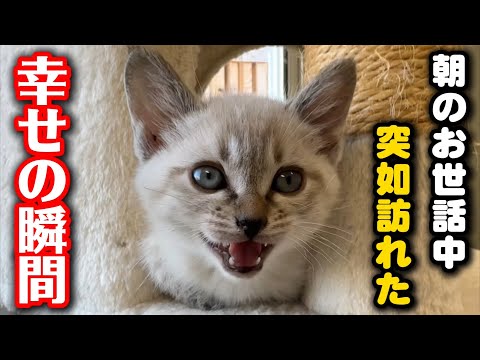 えっ！急に⁈突然の事でビックリしました サムネイル