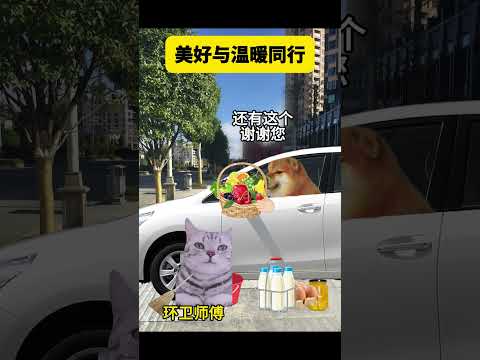 美好与温暖同行 有趣 猫meme 猫meme剧场 猫meme小剧场 内容过于真实  故事 貓 猫猫meme小剧场 喵不… サムネイル