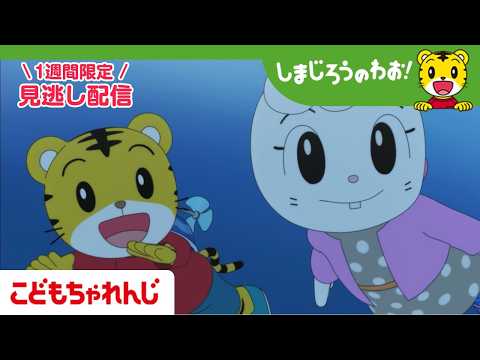 【見逃し配信】テレビ番組「しまじろうのわお!」 8月22日放送 |うみで なかよし|738【しまじろうチャンネル公式】