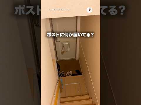 もふもふ郵便届いたかと思った｜PECO サムネイル