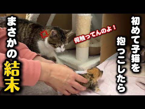 ママ猫の前で初めて子猫を抱っこしたら意外な結果に… サムネイル
