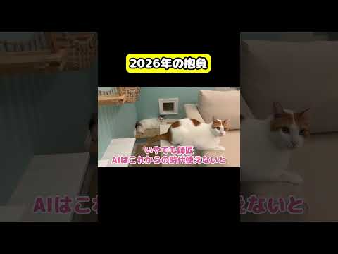 2026年の抱負　猫 おもしろ アテレコ ニャンチューバーつくし サムネイル