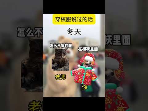 那段每天穿校服的日子叫高中 有趣 猫meme 猫meme剧场 猫meme小剧场 内容过于真实  故事 貓 猫猫meme… サムネイル