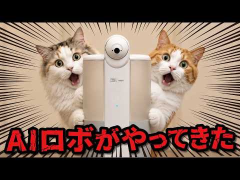 最新のAIペットシッターがウチにやってきてくれました！！！ サムネイル