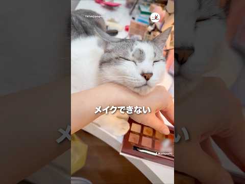 メイクできない｜PECO サムネイル