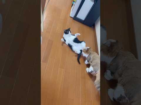 えっ置いてけぼり？！ サムネイル