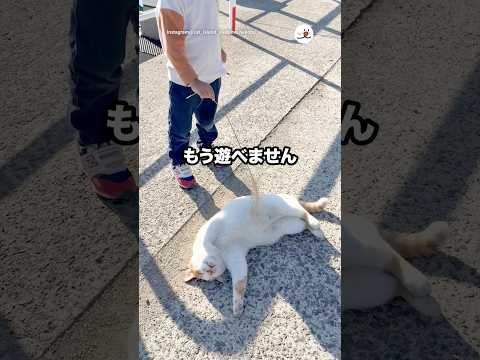 もう遊べません…｜PECO サムネイル