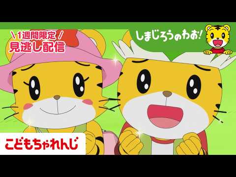 【見逃し配信】テレビ番組「しまじろうのわお！」 3月14日放送 ｜おいし～い！ おかしのいえ｜715【しまじろうチャン… サムネイル