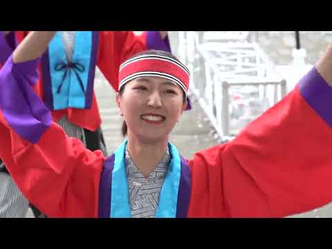 福豆＠2026　サクラタウンよさこい～春の特別祭～ サムネイル