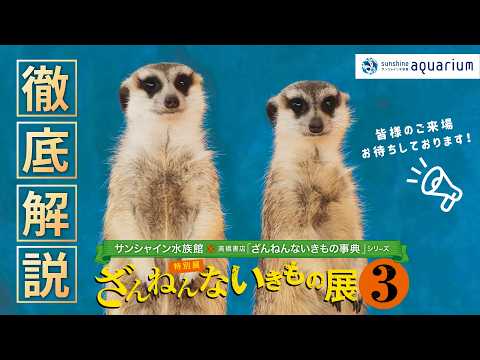 【解説】ざんねんとは個性⁉「ざんねんないきもの展３」徹底解説【サンシャイン水族館】 サムネイル
