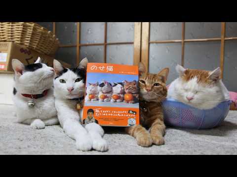 うずまきLIVE配信？　放置？　朝まで？　2026年3月8日 サムネイル