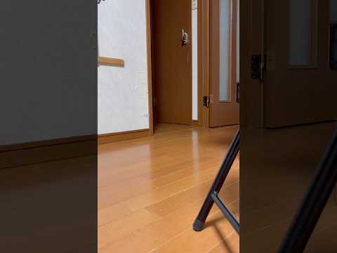 誰が来るでしょう？ サムネイル