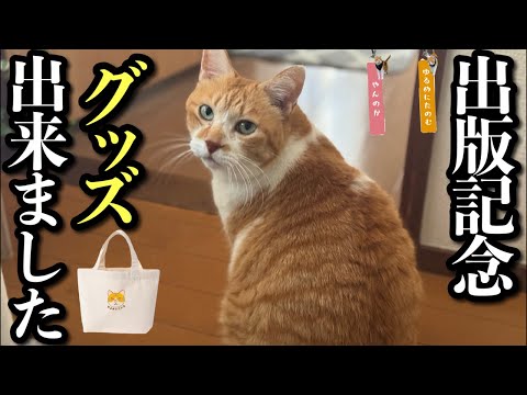 元野良猫チャチャとR me がライブ配信中！ サムネイル