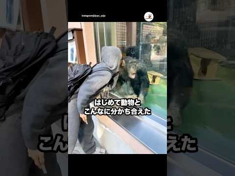 初めて動物とこんなに分かち合えた☺️｜PECO サムネイル