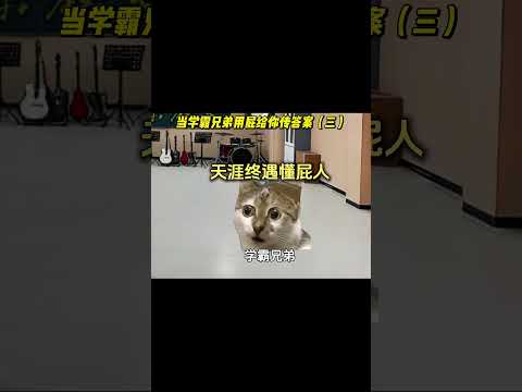 当学霸兄弟用屁给传答案三有趣 猫meme 猫meme剧场 猫meme小剧场 内容过于真实  故事 貓 猫猫meme小剧…