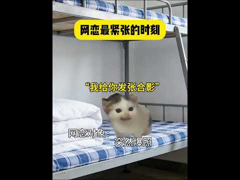 网恋最紧张的时刻 有趣 猫meme 猫meme剧场 猫meme小剧场 内容过于真实  故事 貓 猫猫meme小剧场 喵… サムネイル