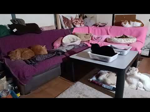 走るうずまき サムネイル