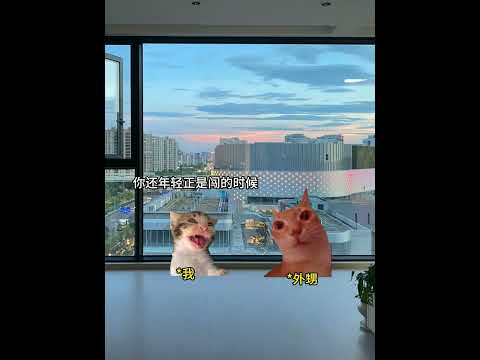 舅舅是最亲的人 有趣 猫meme 猫meme剧场 猫meme小剧场 内容过于真实  故事 貓 猫猫meme小剧场 喵不… サムネイル