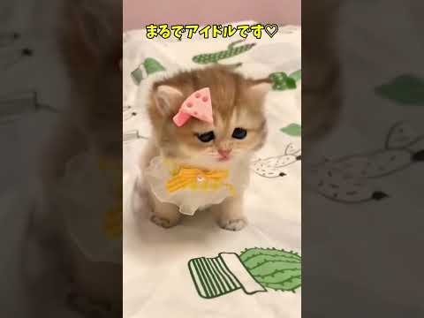 これは何！？🥹
