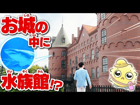 世界でここだけ！城の中に巨大ザメがいる水族館“登別マリンパークニクス”を徹底解説🦈 【北海道観光・サメ・イルカショー】 サムネイル