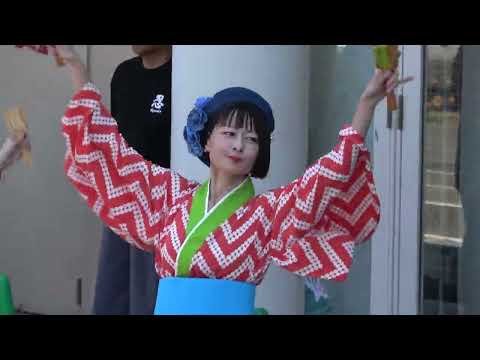 総踊り・「この地へ～」＠2026　ピオニウォークよさこい サムネイル
